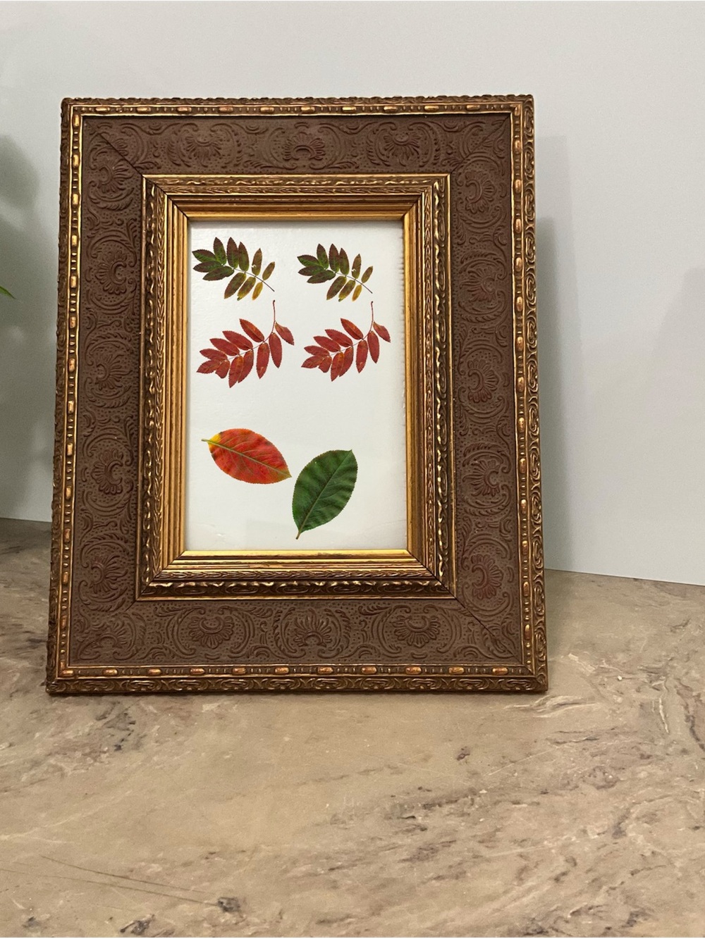 Ornate 8x10 Picture Frame Baroque Styling, Textured Border